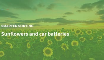 Sunflowers and Car Batteries